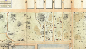 Detail from Egbert Viele’s 1856 topographical survey of the area to become Central Park, which shows some of the buildings and gardens of Seneca Village just before its destruction. 